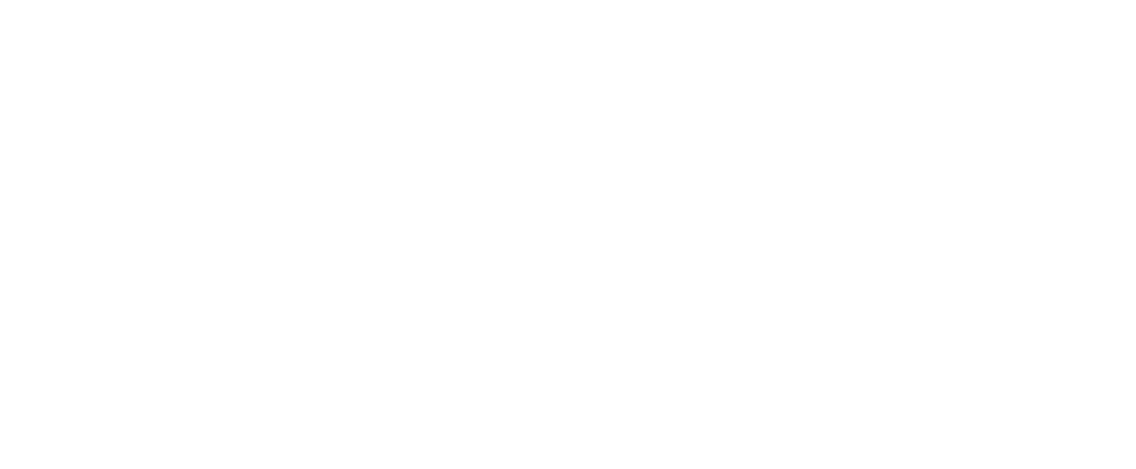 apex energies logo white