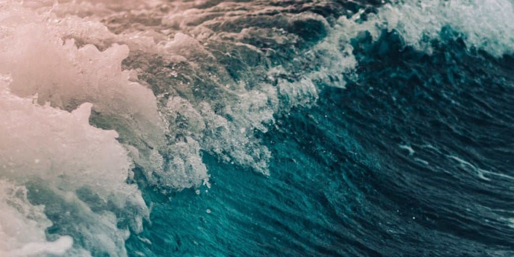 Image of Forrester Research Wave Graphics
