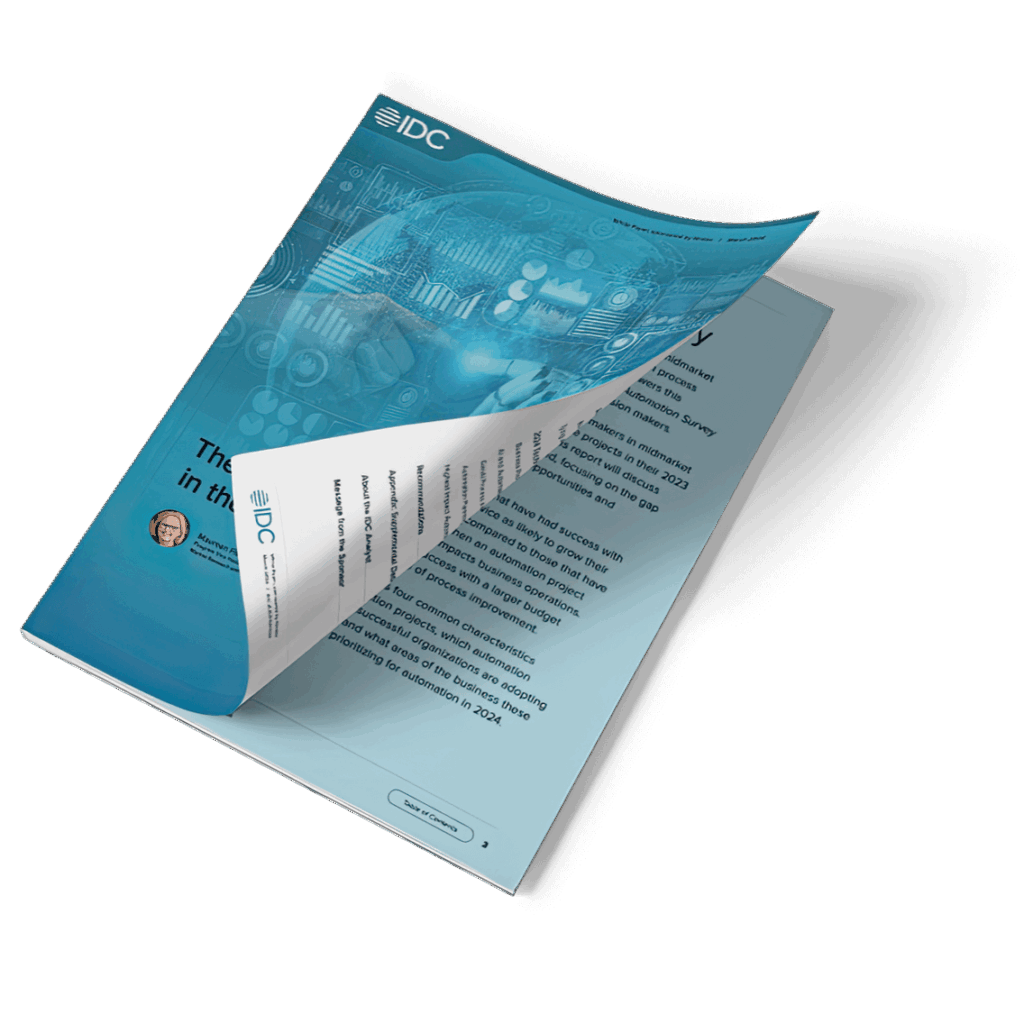 A copy the eBook: "The state of process automation in the midmarket in 2024."