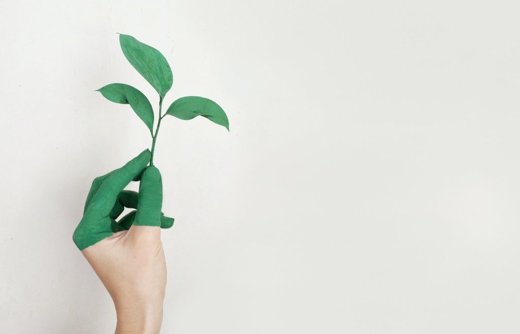 What is digital sustainability?