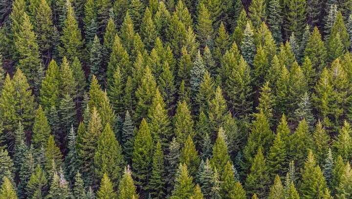 Automation sustainability: the future of technology.