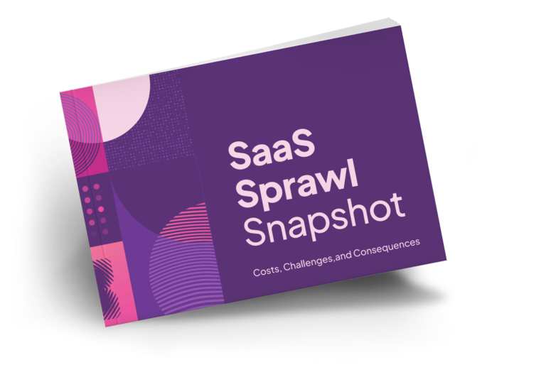 SaaS Sprawl Snapshot ebook